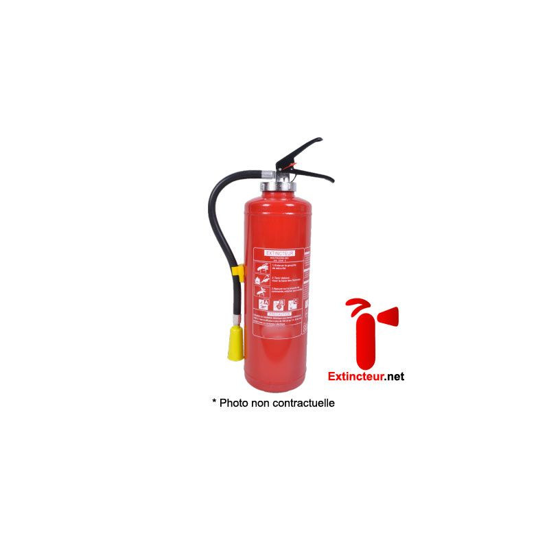 Extintor Automático de Polvo de 6 kg ABC - PS6-AH Anaf > Protectionic